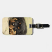 Rottweiler20150901 Bagagelabel (Voorkant horizontaal)