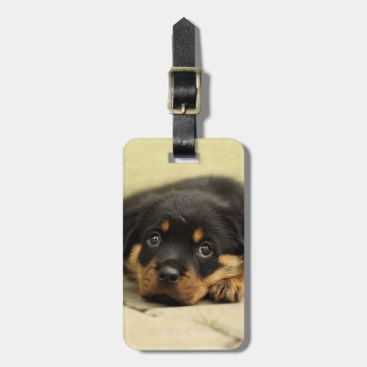 Rottweiler20150901 Bagagelabel (Voorkant verticaal)