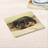 Rottweiler20150901 Kartonnen Onderzetters (Schuin)