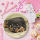 Rottweiler20150901 Papieren Bordje (Feest)