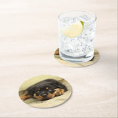 Rottweiler20150901 Ronde Kartonnen Onderzetter (Insitu)