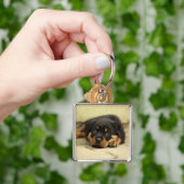 Rottweiler20150901 Sleutelhanger (Hand)