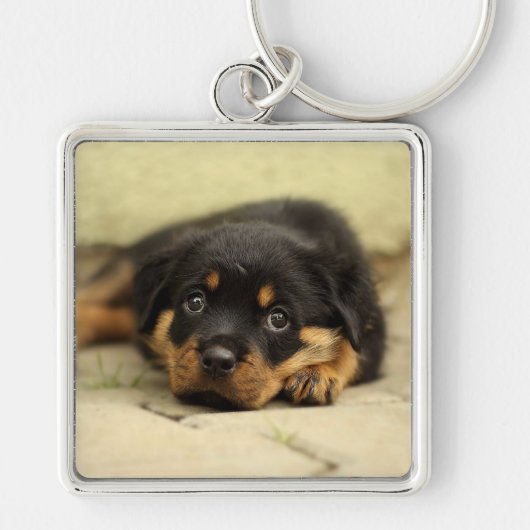 Rottweiler20150901 Sleutelhanger (Voorkant)