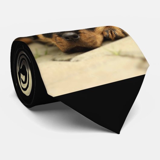 Rottweiler20150901 Stropdas (Opgerold)