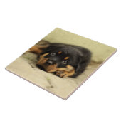 Rottweiler20150901 Tegeltje (Zijkant)