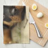 Rottweiler20150901 Theedoek (Quarter Fold)
