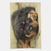 Rottweiler20150901 Theedoek (Verticaal)