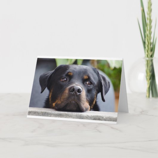 Rottweiler 2.png kaart (Voorkant)