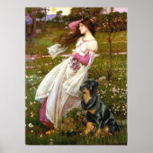 Rottweiler (#5) - Windbloemen Poster (Voorkant)