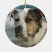 Rottweiler - Aangepaste dovingsfoto Mississippi Bo Keramisch Ornament (Achterkant)