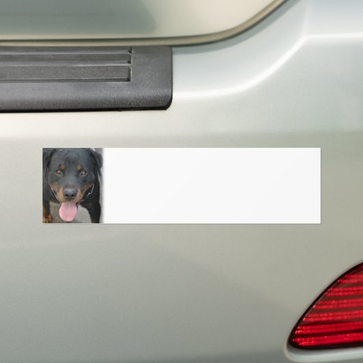 Rottweiler Afbeelding Bumpersticker (Op auto)