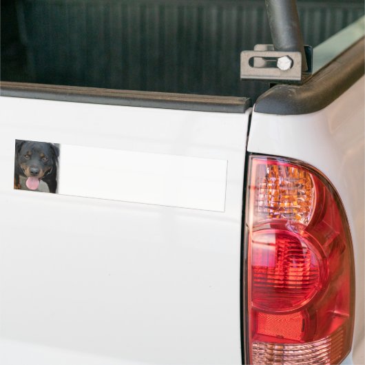 Rottweiler Afbeelding Bumpersticker (Op Truck)