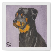Rottweiler-Afbeelding