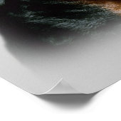 Rottweiler afdrukken poster (Hoek)