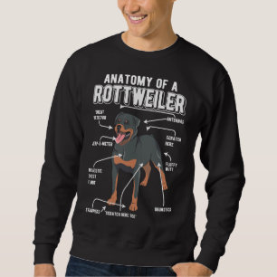 Rottweiler Anatomy Dog Trui