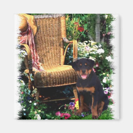 Rottweiler Art-cadeaus Magneet