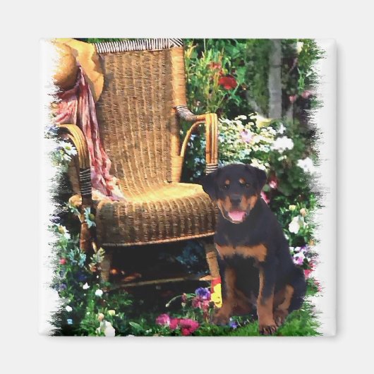 Rottweiler Art-cadeaus Magneet (Voorkant)