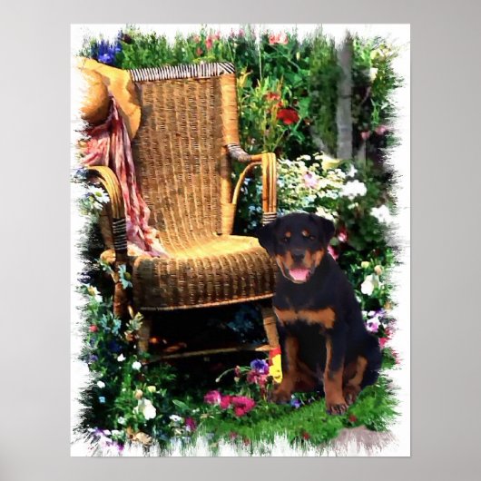 Rottweiler Art Print (Voorkant)