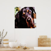 Rottweiler Artistic Pet Portait Poster (Keuken)