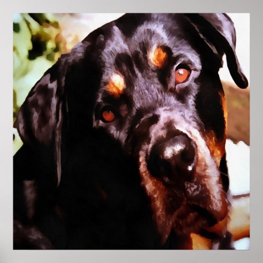 Rottweiler Artistic Pet Portait Poster (Voorkant)