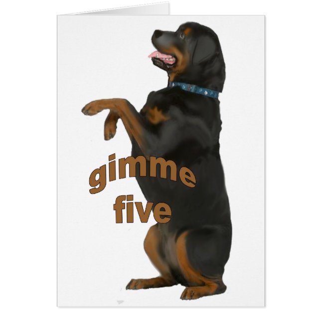 rottweiler_beging (Voorkant)