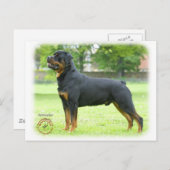 Rottweiler Briefkaart (Voorkant / Achterkant)