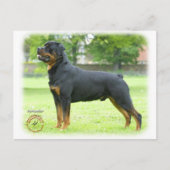 Rottweiler Briefkaart (Voorkant)