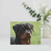 Rottweiler Briefkaart (Staand voorkant)