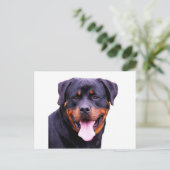 rottweiler briefkaart (Staand voorkant)