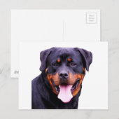 rottweiler briefkaart (Voorkant / Achterkant)