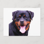 rottweiler briefkaart (Voorkant)