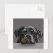 Rottweiler Briefkaart (Voorkant / Achterkant)