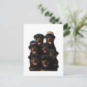 Rottweiler Briefkaart (Staand voorkant)