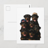 Rottweiler Briefkaart (Voorkant / Achterkant)