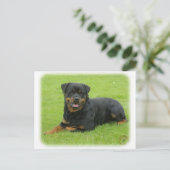 Rottweiler Briefkaart (Staand voorkant)
