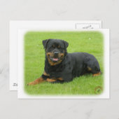 Rottweiler Briefkaart (Voorkant / Achterkant)