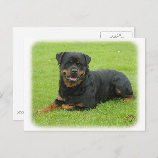 Rottweiler Briefkaart (Voorkant / Achterkant)