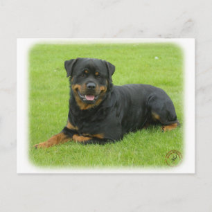 Rottweiler Briefkaart