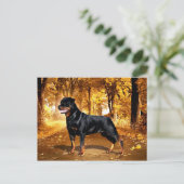 Rottweiler Briefkaart (Staand voorkant)