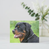 rottweiler briefkaart (Staand voorkant)