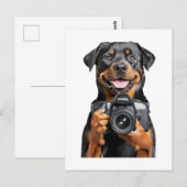 Rottweiler   briefkaart (Voorkant / Achterkant)