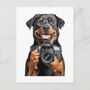 Rottweiler   briefkaart