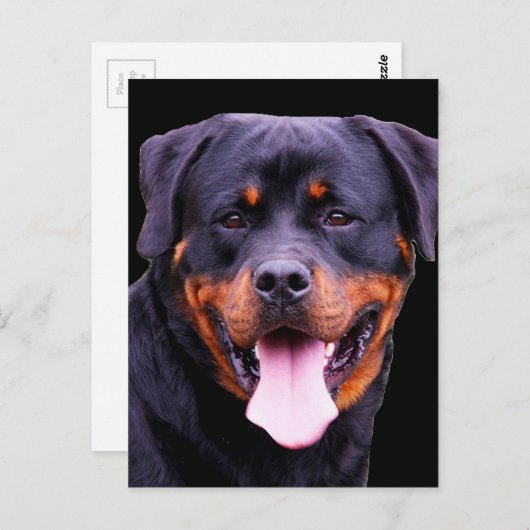 "Rottweiler" Briefkaart (Voorkant / Achterkant)