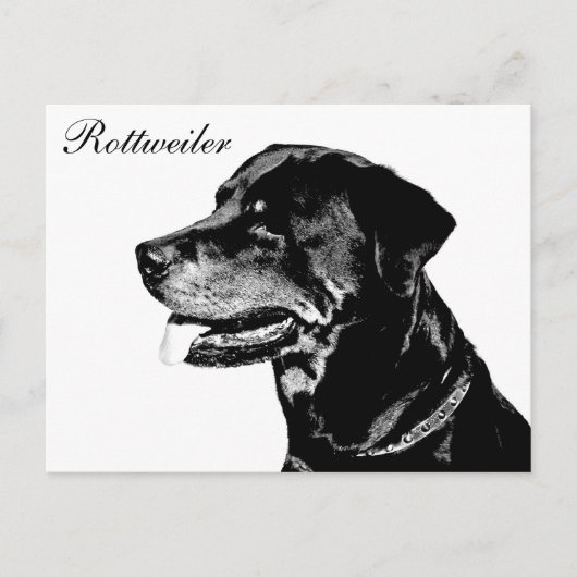Rottweiler-briefkaart Briefkaart (Voorkant)