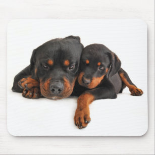 Rottweiler Brown & Black Puppy Dog Love Muismat