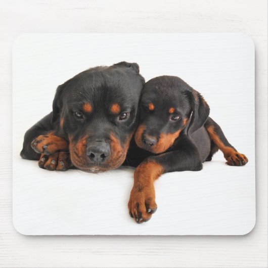 Rottweiler Brown & Black Puppy Dog Love Muismat (Voorkant)
