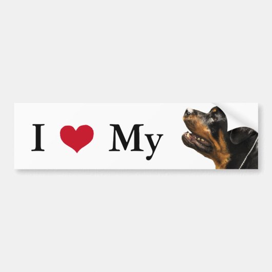 Rottweiler Bumpersticker (Voorkant)