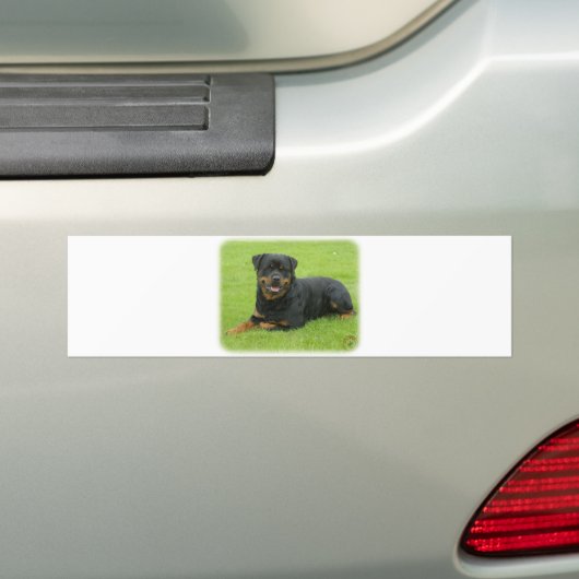 Rottweiler Bumpersticker (Op auto)