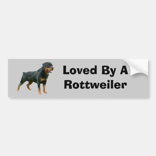 Rottweiler-Bumpersticker Bumpersticker (Voorkant)