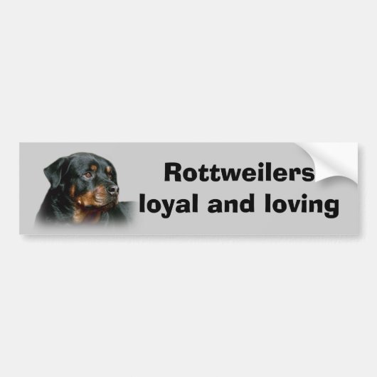 Rottweiler-Bumpersticker Bumpersticker (Voorkant)
